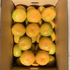 極早生（日南）大玉2Ⅼ以上箱込5kg　家庭用　瀬戸内の恵み　岩国みかん