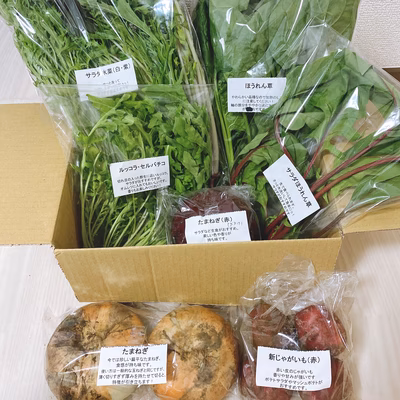 みんなの投稿の画像