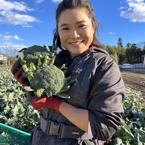 深谷産枝付ブロッコリー8本入！L～LLサイズ