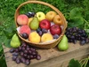 りんご屋さんが栽培するスモモ”貴陽”　家庭用