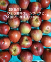 【訳アリ】青森県産りんご『紅玉』ひょうキズ、シブ、サビ、ヤケ！加工用などに！