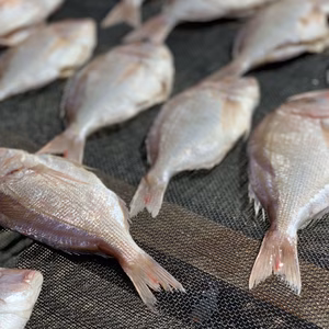 鯛めしにも◎小鯛(春子)の干物x4尾