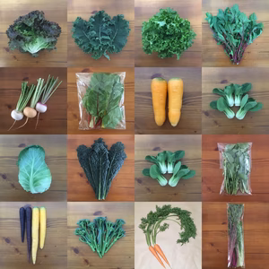 いつもとちょっと違う野菜セット（７点・80サイズ）　＜農薬・化学肥料不使用＞