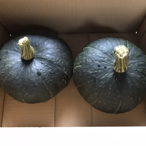 クリ南瓜ブラックのジョー　２個