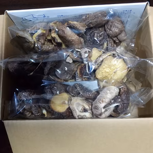 原木乾しいたけ（足切り）