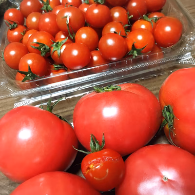 みんなの投稿の画像