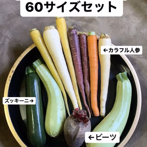 ①東京産！B品イタリア野菜60セット