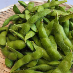 甘旨！やめられない！とまらない！初だるま枝豆!!