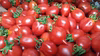 調理用トマト（糖度８以上）　