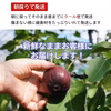 2.5kg 無農薬 大阪 いちじく 無花果 イチジク 甘い 人気 羽曳野 高級
