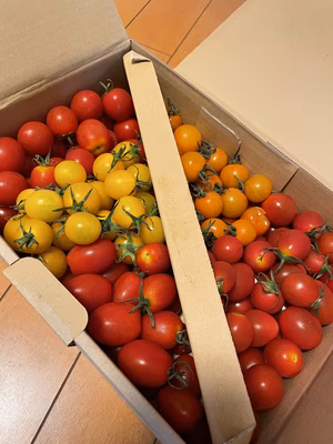 みんなの投稿の画像