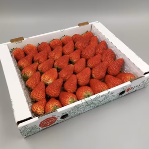 ◆採れたて【完熟紅ほっぺ1kg 大粒セット（２L超）】
