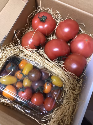 みんなの投稿の画像