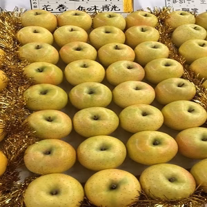 王林(おうりん)　贈答用　　甘~い青りんご　農家直送青森県産りんご