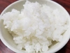 令和2年産　特別栽培米ミルキークイーン精白米5㎏×2袋