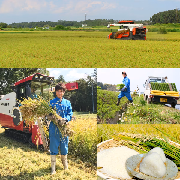 森ファーム・里山の森　ぽっぽ