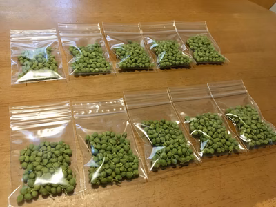 みんなの投稿の画像