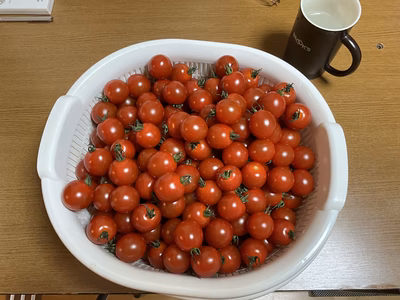 みんなの投稿の画像