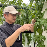 鈴木英作 | ホルス合同会社