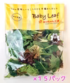 【いっぺん食べてみなっせ！】ベビーリーフ