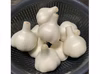 SAKAVEGEにんにく ✱5月中旬発送