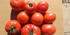 再販ご希望にお応え出来る様になってきました。B品トマト。およそ４ｋｇ、２１８０円
