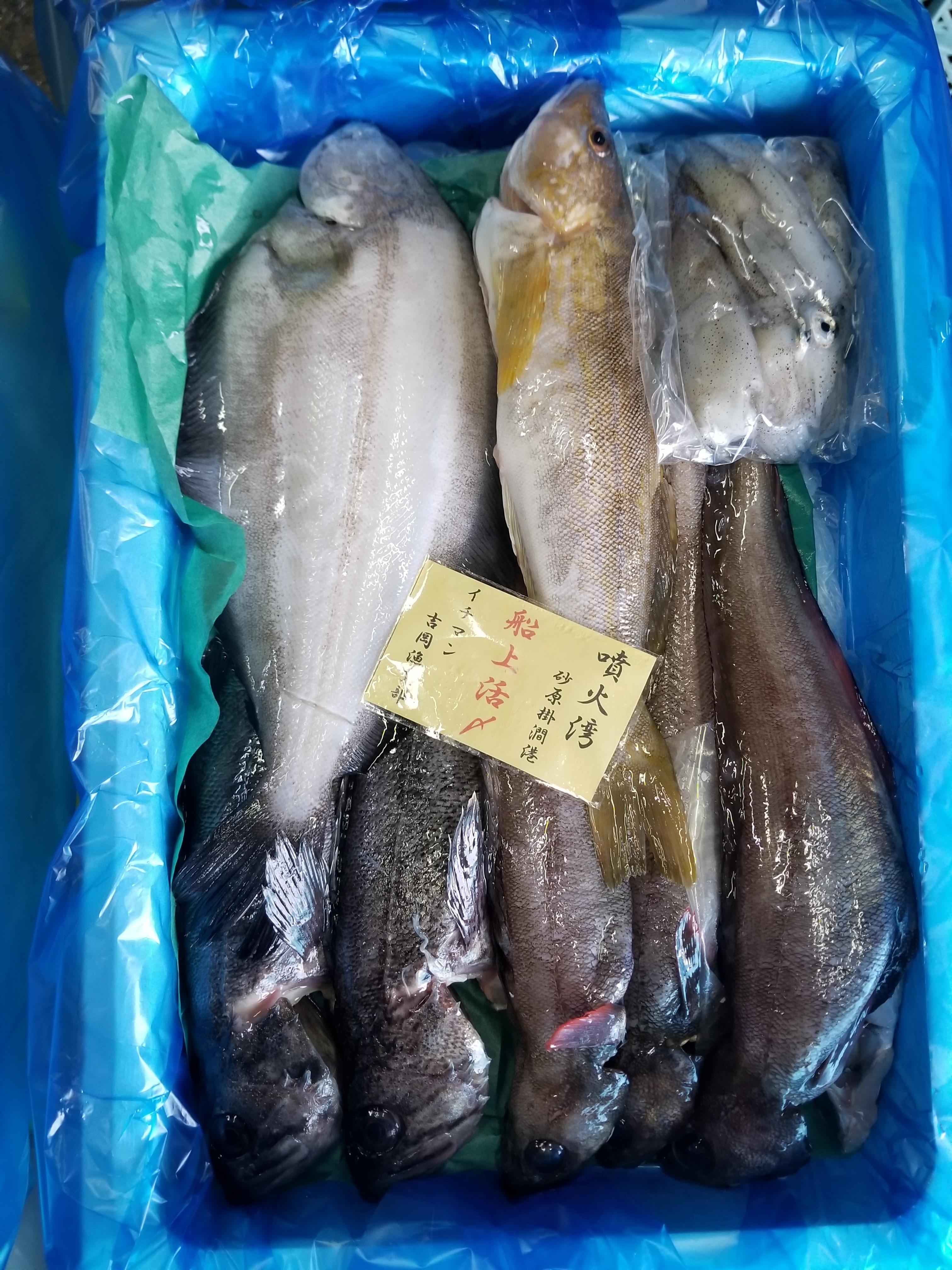 魚 ＠ 次回発送 1/6〜 金剛激まるいか160 零天国 - 櫻井釣漁具株式会社