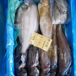 本日限定❗イチマン活〆セット1❗