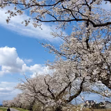 りあはーちゃん