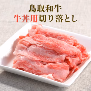 鳥取和牛 牛丼用切り落とし小間切れ（中落ち）煮込み用