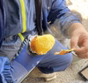 お得な農薬不使用の旬野菜セット✨【数量限定】 自然のおいしい野菜