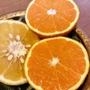 無添加 果汁100% 清見オレンジと甘夏のジュース「無垢」