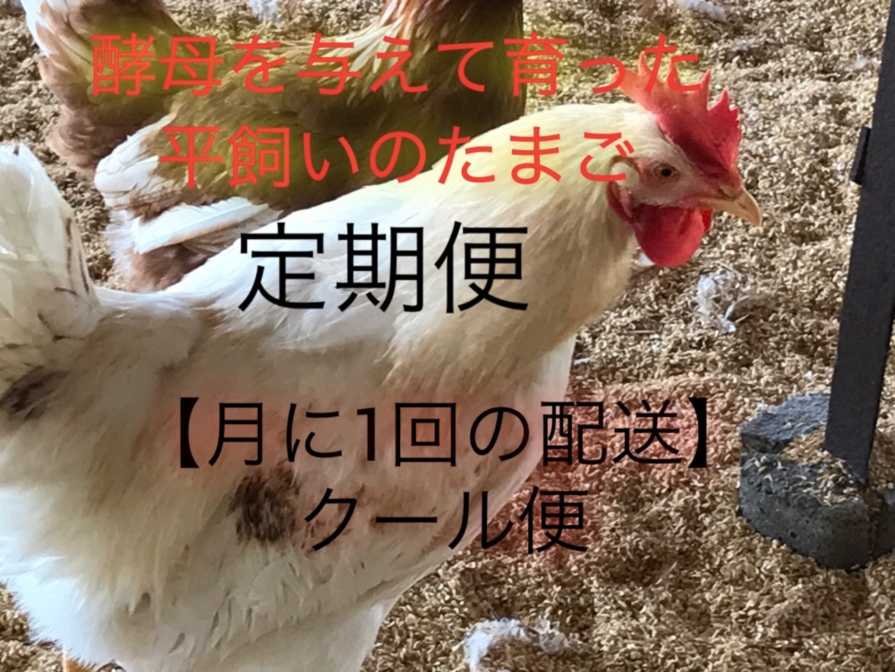 酵母を与えて育った平飼い卵 元気たまご 農家漁師から産地直送の通販 ポケットマルシェ