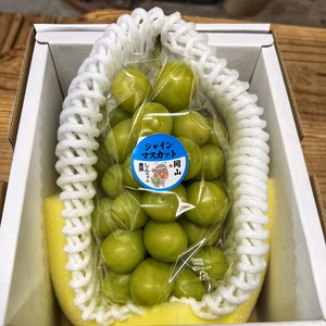 【ご進物用】シャインマスカット　クール冷蔵便
