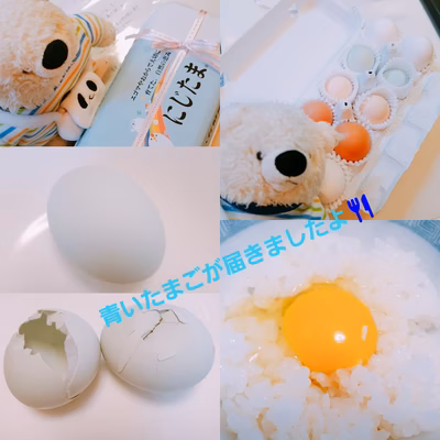 みんなの投稿の画像