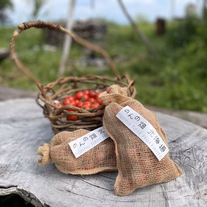 【たいせつなトマト】ミディトマト650g1袋入（自然に還る麻袋入り）