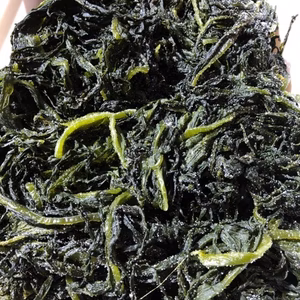 塩ワカメ　新物　(3月15日より発送可能です）