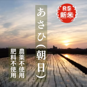 R5:あさひ(朝日)（自然栽培）
