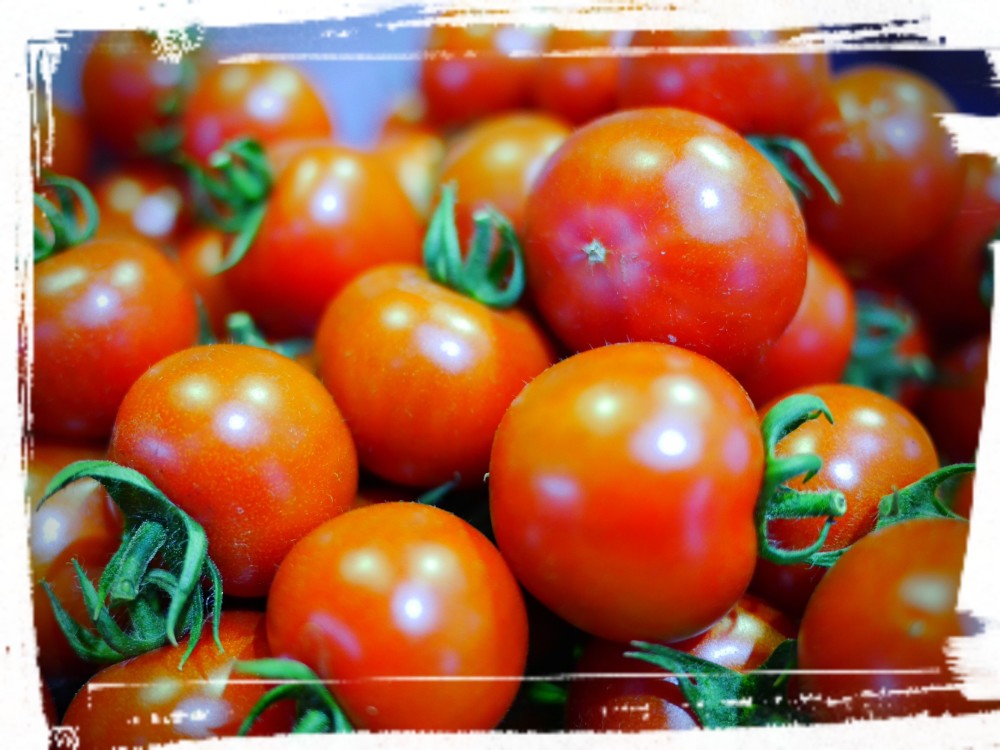 ZM1.8】華おとめ & カラフルフルーツトマト たっぷり1.8㎏ ｜トマトの