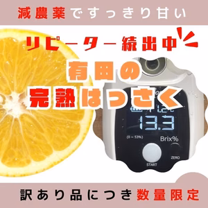 はっさく 訳あり 八朔 減農薬 大人気 和歌山 さっぱりとした酸味と甘み
