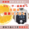 はっさく 訳あり 八朔 減農薬 大人気 和歌山 さっぱりとした酸味と甘み