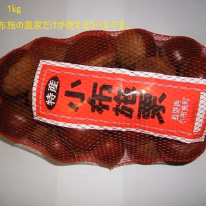 信州　小布施栗　早生種　2L玉　1キロ　