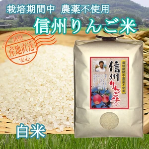 受注精米《 白米 》信州りんご米 農薬不使用米 こしひかり 令和3年産