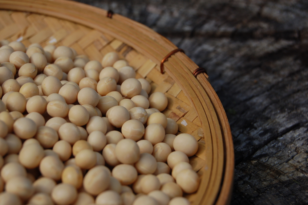 白大豆】甘さとコクが強い宮城を代表する大豆「ミヤギシロメ」【石巻産】｜野菜の商品詳細｜ポケットマルシェ｜産直(産地直送)通販 -  旬の果物・野菜・魚介をお取り寄せ