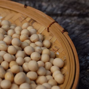 【白大豆】甘さとコクが強い宮城を代表する大豆「ミヤギシロメ」【石巻産】
