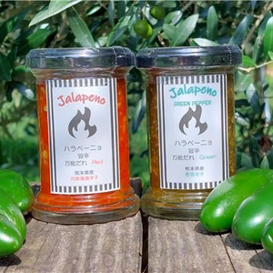 やみつき！　ハラペーニョ万能だれ　Red/Green