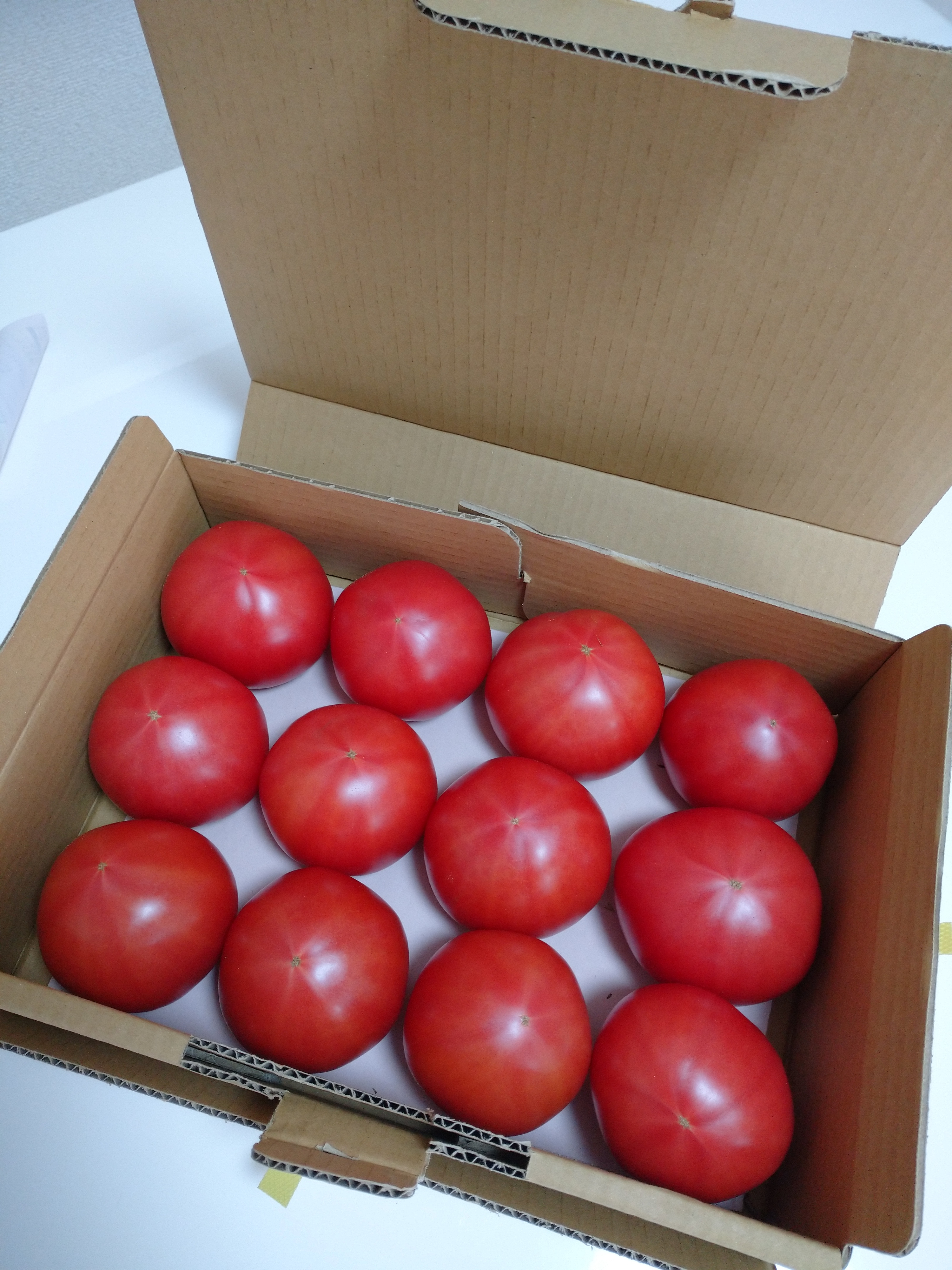 神奈川県茅ヶ崎市｜金子農園｜金子淳一さんのみんなの投稿｜ポケット