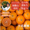 農家直送！なつみオレンジ　訳あり3kg〜【平武農園】和歌山｜有田｜田口｜こだわり
