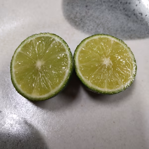 9月お届け【訳あり】種無しすだち 1kg レターパックでお試し