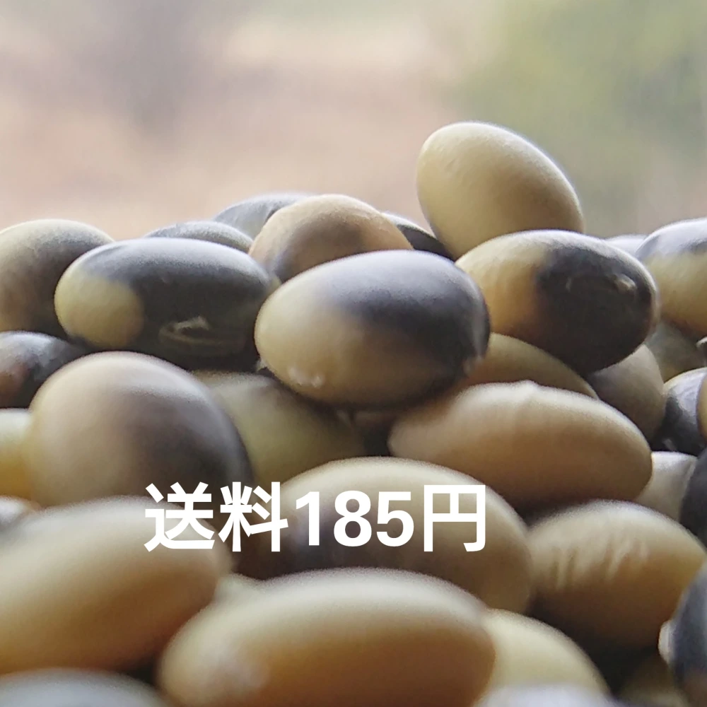 【お徳用】ぽっけの鞍掛豆【北海道自然栽培】